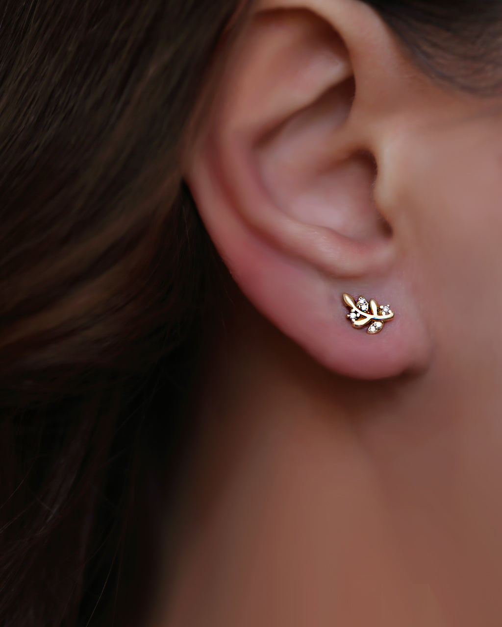 Dainty leaf ear studs in gold