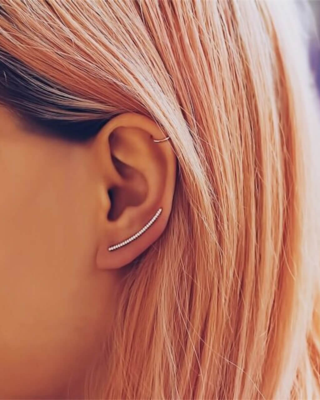 Orecchini In Argento Rampicanti, VERENDI