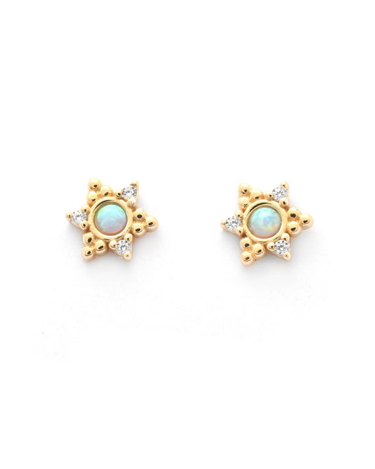 Star Opal Stud Earrings