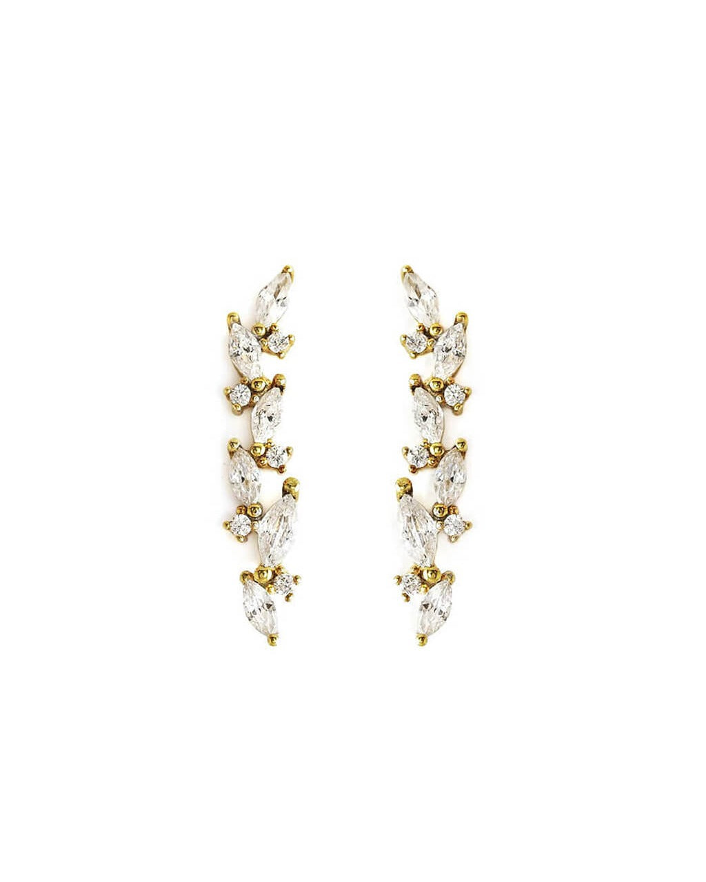 orecchini rampicanti 