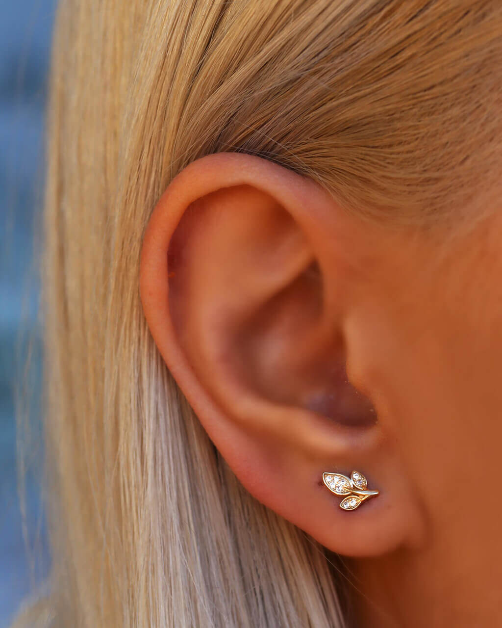 Delicate Leaf Ear Studs